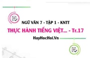 Soạn bài Thực hành tiếng Việt trang 17 Ngữ văn lớp 7 Kết nối tri thức tập 1